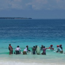 Zanzibar and the northern coast